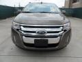 2013 Mineral Gray Metallic Ford Edge Limited EcoBoost  photo #8