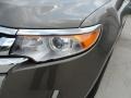 2013 Mineral Gray Metallic Ford Edge Limited EcoBoost  photo #9