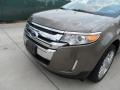 2013 Mineral Gray Metallic Ford Edge Limited EcoBoost  photo #10