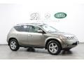 Polished Pewter Metallic - Murano SL AWD Photo No. 1