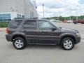 2007 Dark Stone Metallic Ford Escape XLT V6 4WD  photo #2