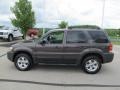 2007 Dark Stone Metallic Ford Escape XLT V6 4WD  photo #7