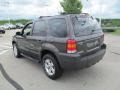 2007 Dark Stone Metallic Ford Escape XLT V6 4WD  photo #8