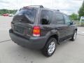 2007 Dark Stone Metallic Ford Escape XLT V6 4WD  photo #10