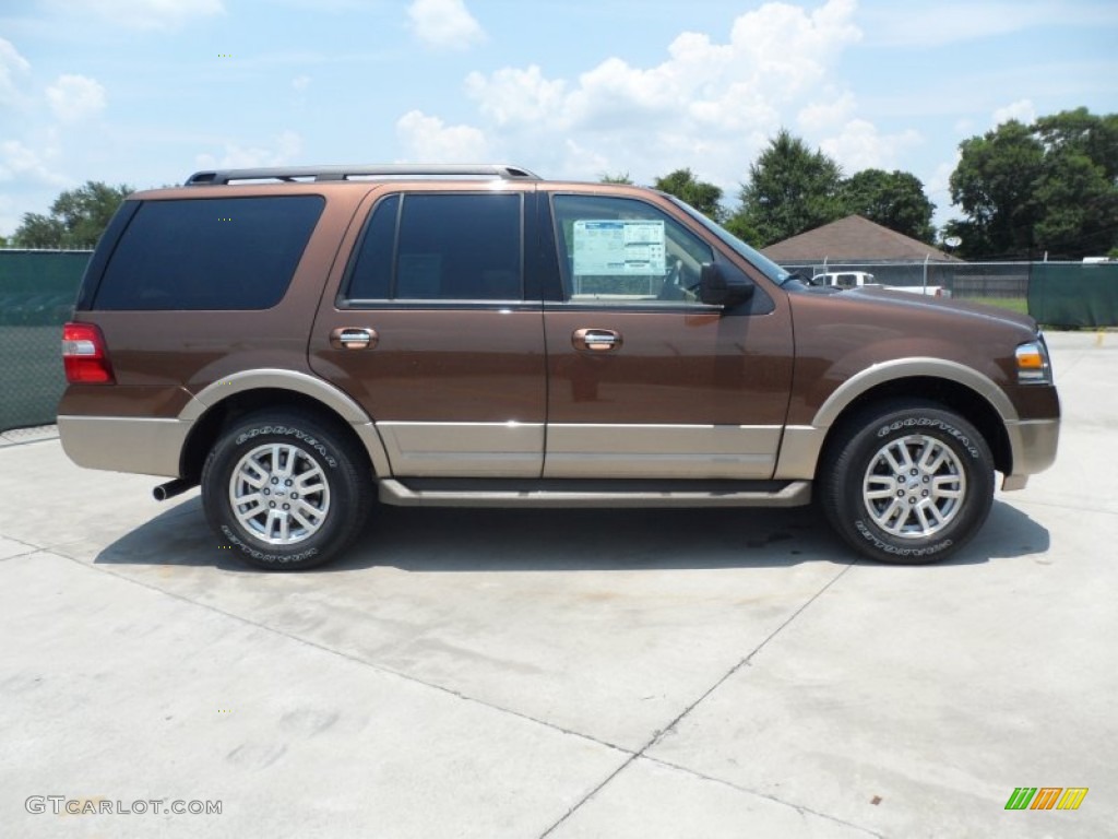 Golden Bronze Metallic 2012 Ford Expedition XLT Exterior Photo #66252041
