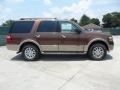 Golden Bronze Metallic 2012 Ford Expedition XLT Exterior