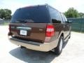 Golden Bronze Metallic - Expedition XLT Photo No. 3