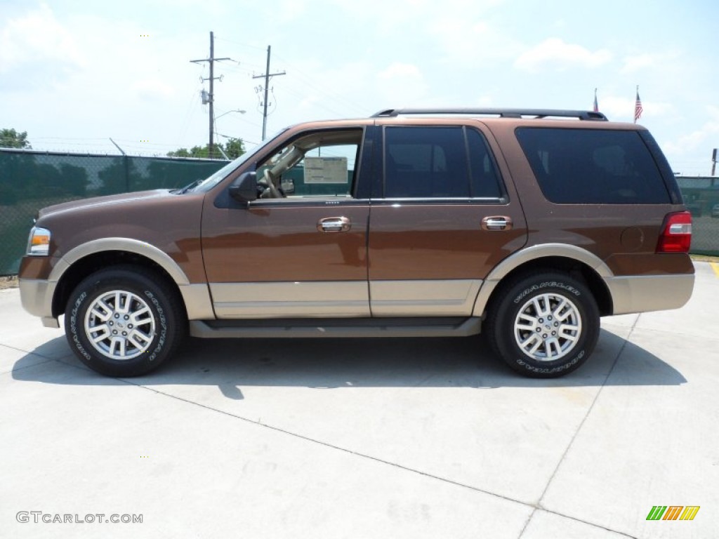 Golden Bronze Metallic 2012 Ford Expedition XLT Exterior Photo #66252074