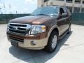 Golden Bronze Metallic - Expedition XLT Photo No. 7