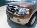 Golden Bronze Metallic - Expedition XLT Photo No. 10
