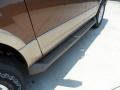 Golden Bronze Metallic - Expedition XLT Photo No. 12