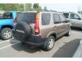 Mojave Mist Metallic - CR-V EX 4WD Photo No. 2