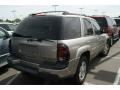 Light Pewter Metallic - TrailBlazer LS 4x4 Photo No. 2