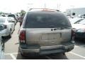 Light Pewter Metallic - TrailBlazer LS 4x4 Photo No. 3