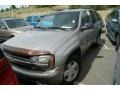 Light Pewter Metallic - TrailBlazer LS 4x4 Photo No. 4