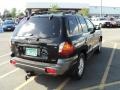 2004 Black Obsidian Hyundai Santa Fe GLS 4WD  photo #2