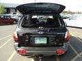 2004 Black Obsidian Hyundai Santa Fe GLS 4WD  photo #17