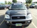 2004 Black Obsidian Hyundai Santa Fe GLS 4WD  photo #26