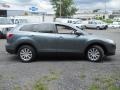 2010 Dolphin Gray Mica Mazda CX-9 Touring  photo #4