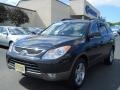 2007 Black Diamond Hyundai Veracruz Limited #66208122