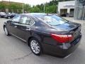 Truffle Brown Mica - LS 460 AWD Photo No. 3