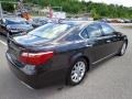 Truffle Brown Mica 2010 Lexus LS 460 AWD Exterior