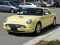 2002 Inspiration Yellow Ford Thunderbird Premium Roadster  photo #31