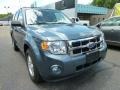 2011 Steel Blue Metallic Ford Escape XLT 4WD  photo #5