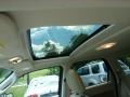 2011 Steel Blue Metallic Ford Escape XLT 4WD  photo #12