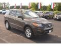 Espresso Brown - Santa Fe GLS Photo No. 3