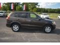 Espresso Brown - Santa Fe GLS Photo No. 4