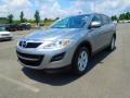 Liquid Silver Meatllic - CX-9 Sport Photo No. 1