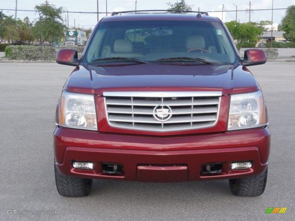 2003 Escalade  - Infra Red / Shale photo #8