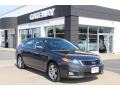 Platinum Graphite - Optima SX Photo No. 3