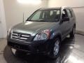 2006 Silver Moss Metallic Honda CR-V LX 4WD  photo #1