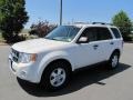 2010 White Suede Ford Escape XLT V6 4WD  photo #3