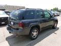 Graphite Metallic - TrailBlazer LS 4x4 Photo No. 4