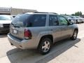 2007 Graystone Metallic Chevrolet TrailBlazer LT 4x4  photo #4