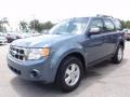 2010 Steel Blue Metallic Ford Escape XLS  photo #13