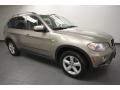 Platinum Bronze Metallic 2007 BMW X5 Gallery