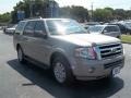Pueblo Gold Metallic - Expedition XLT Photo No. 1