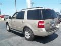 Pueblo Gold Metallic - Expedition XLT Photo No. 4