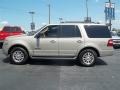 Pueblo Gold Metallic - Expedition XLT Photo No. 23