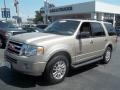 Pueblo Gold Metallic - Expedition XLT Photo No. 24