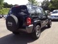 2004 Black Clearcoat Jeep Liberty Sport 4x4  photo #7