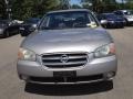 Sheer Silver - Maxima GLE Photo No. 3