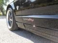 Black - Mustang GT Premium Coupe Superstang Photo No. 13