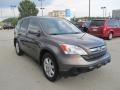 2009 Urban Titanium Metallic Honda CR-V EX-L 4WD  photo #5