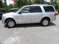 2010 Ingot Silver Metallic Lincoln Navigator   photo #2