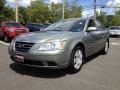 Willow Gray - Sonata GLS Photo No. 1